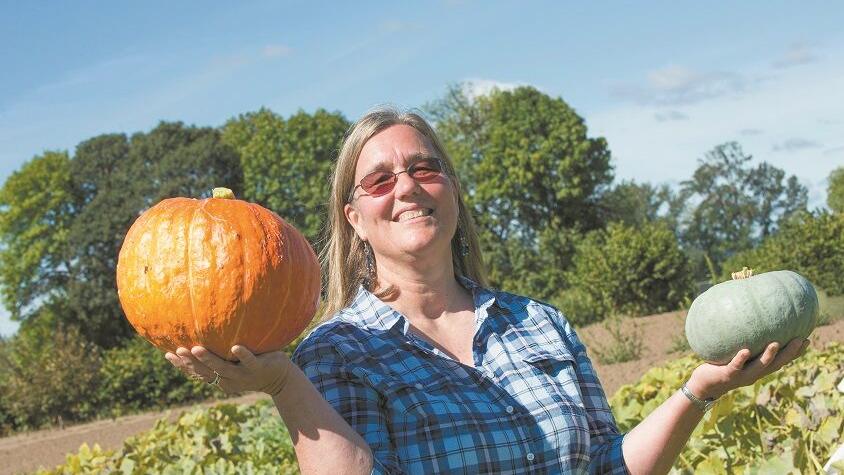 'Level Up' your gardening game with free video series from Oregon State